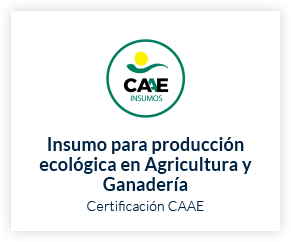 CERTIFICACIONES