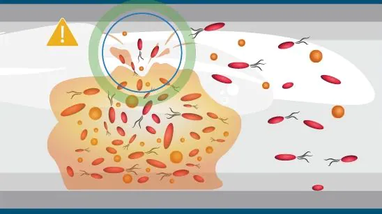 Biofilm, la capa que protege a las enfermedades.